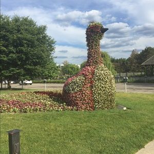 Meet your Posher, Lynne
